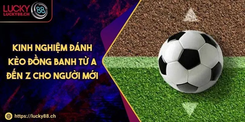 Kinh nghiệm đánh kèo đồng banh